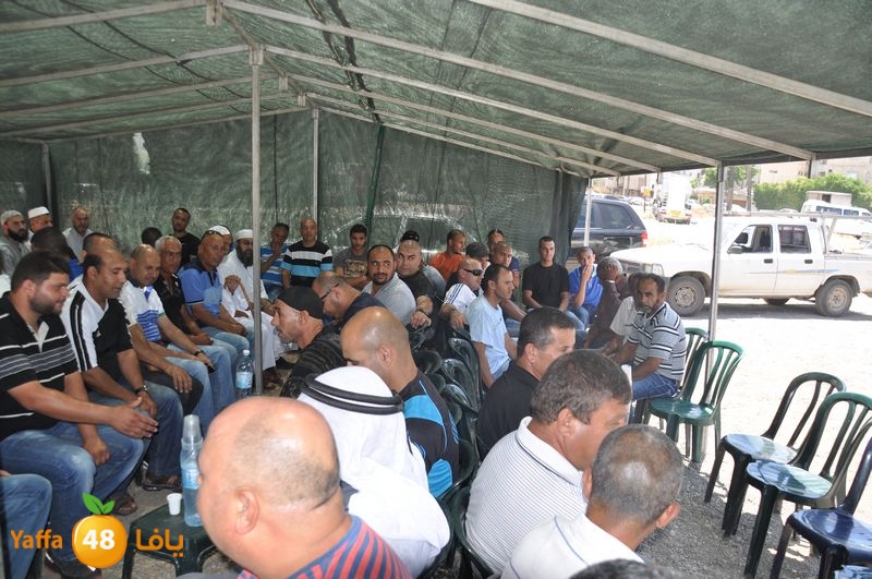 sol7desoqylud615 (78).JPG